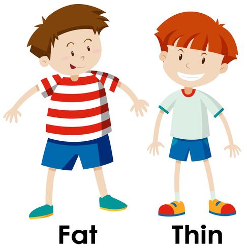 Differences between fat and thing.