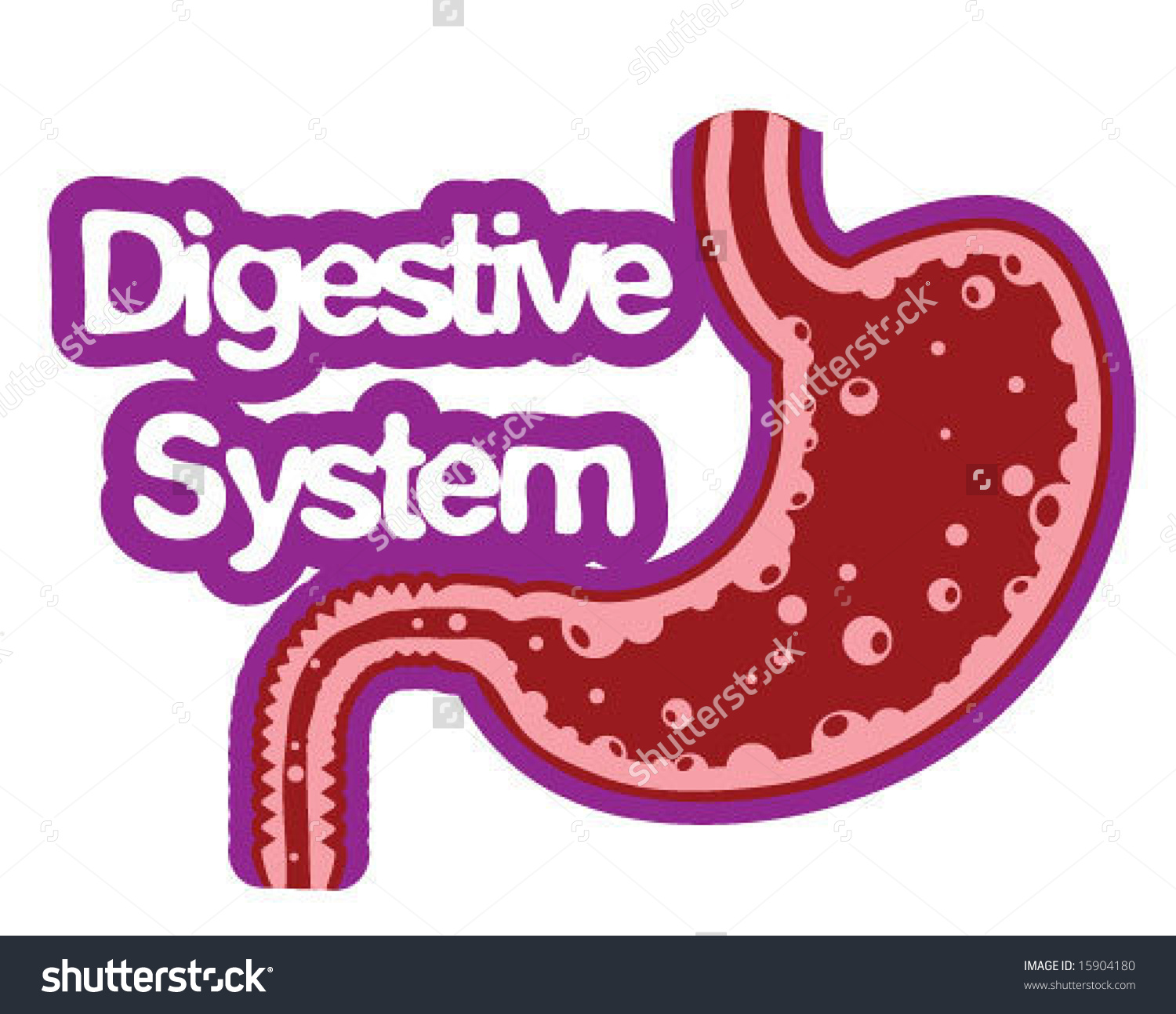 Digestion Clipart 20 Free Cliparts Download Images On Clipground 2023