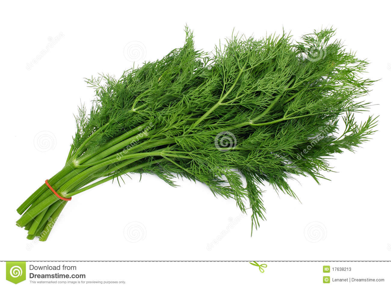 Dill clipart.