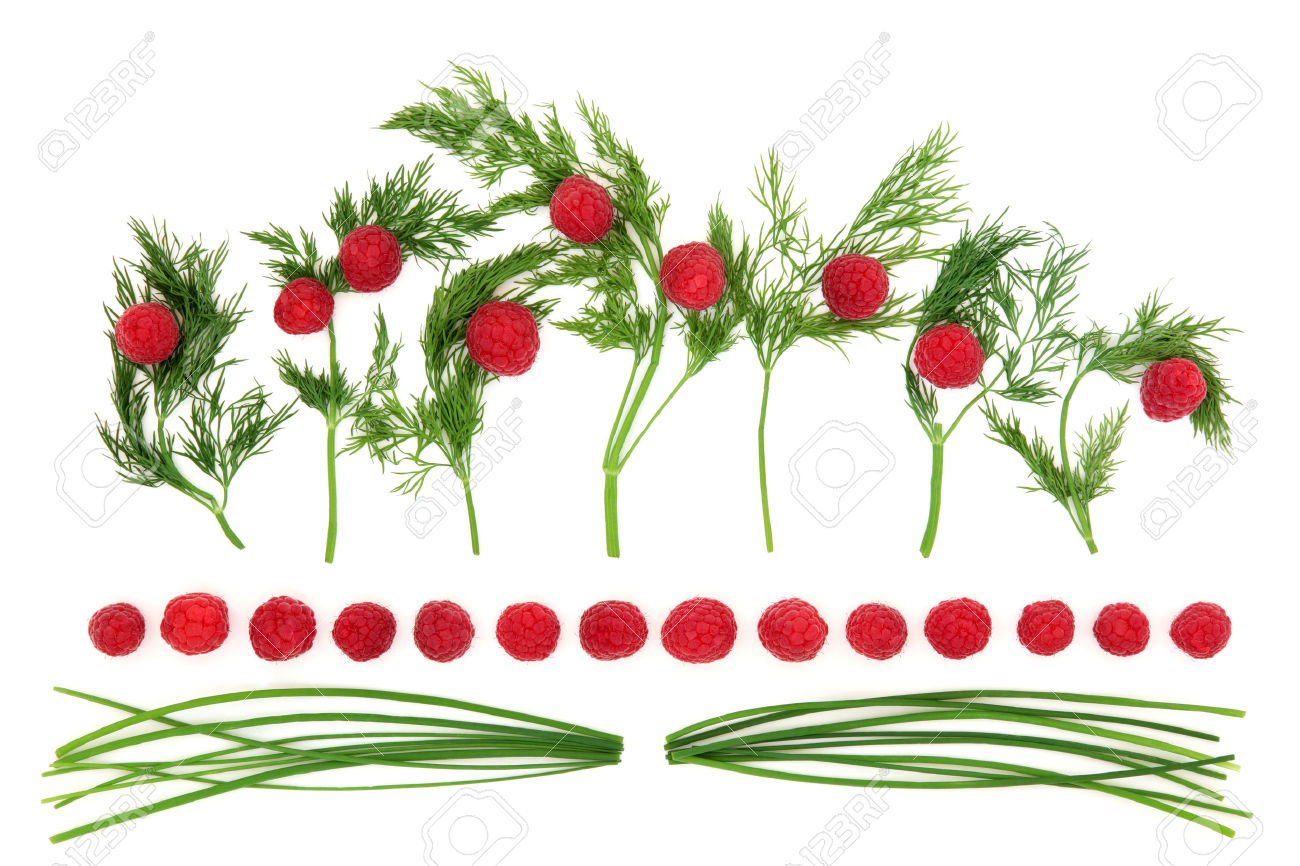 Abstract Food Art With Dill Herb Chives And Raspberry Fruit Over.