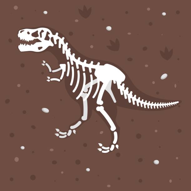 dinosaur fossil clipart 20 free Cliparts | Download images on ...