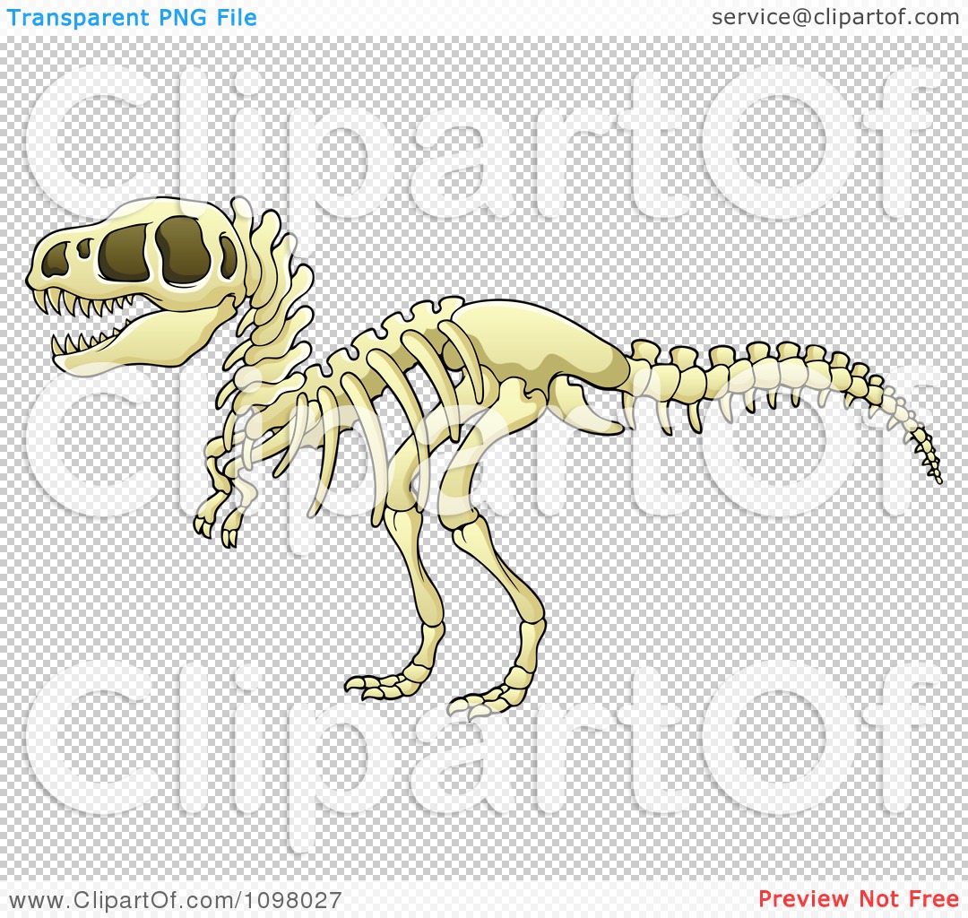 Clipart Tyrannosaurus Rex Dinosaur Skeleton.