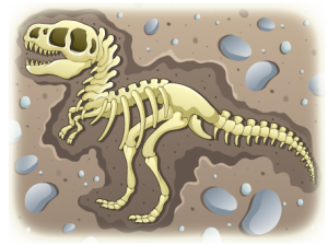 dinosaur fossil in dirt clipart 20 free Cliparts | Download images on