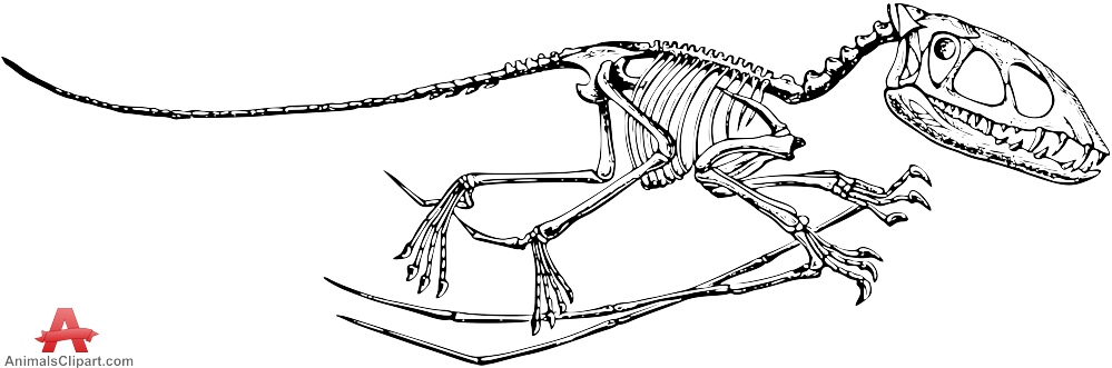 Dinosaur Skeleton Clipart.