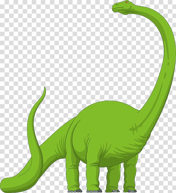 Brachiosaurus Diplodocus Megalosaurus Apatosaurus Dinosaur.