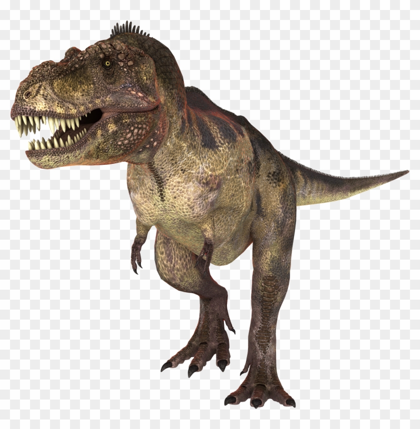Dinosaur Png.