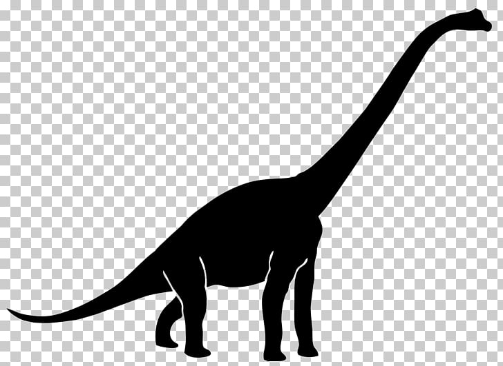 Diplodocus Brachiosaurus Tyrannosaurus Brontosaurus.