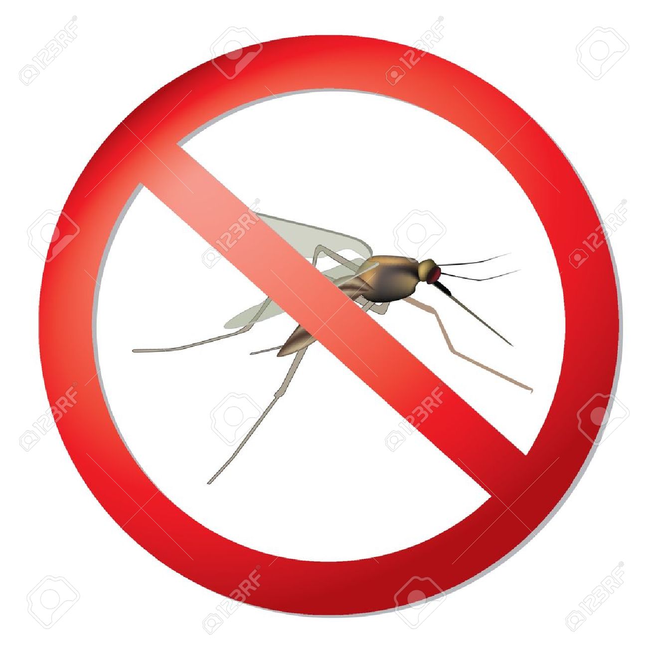 Dipterous Fly Stock Photos & Pictures. 99 Royalty Free Dipterous.