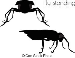 Dipterous Clipart Vector and Illustration. 21 Dipterous clip art.