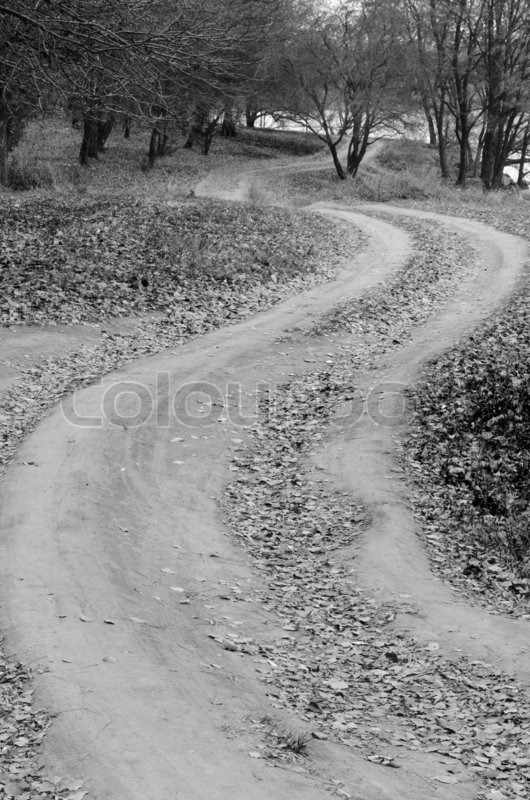 Dirt road in the woods with the letter.