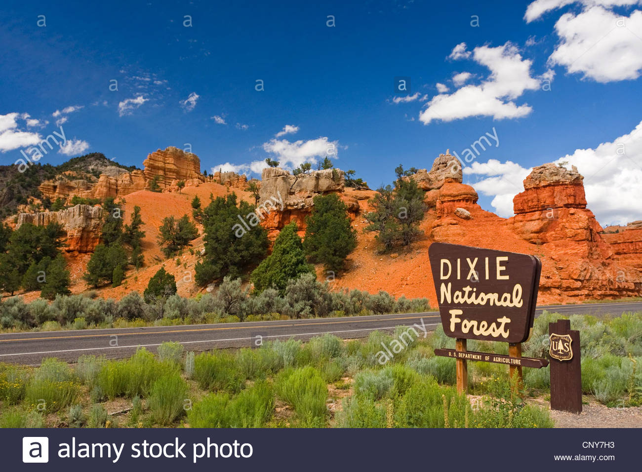 Forest Of Traffic Signs Stock Photos & Forest Of Traffic Signs.