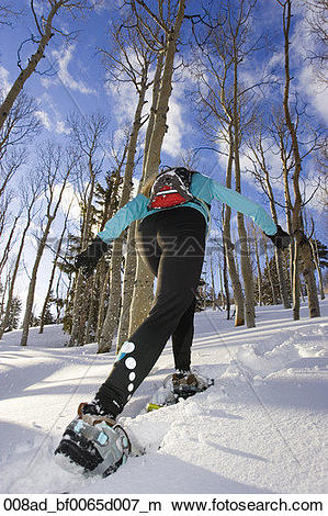 Stock Photo of Woman snowshoeing through Dixie National Forest.