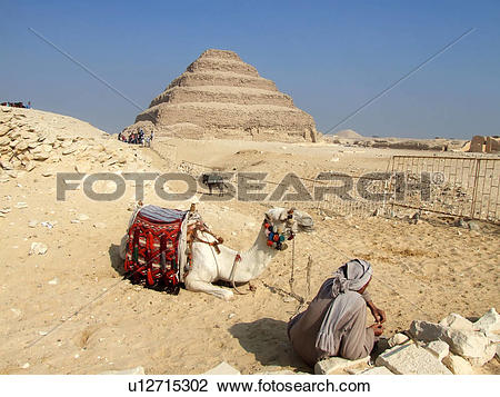 Stock Photo of Egypt, Saqqara, Djoser's, Step, Pyramid, Camel.