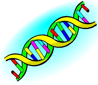 Science Clipart Dna.