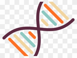 Dna Structure Clipart Svg.