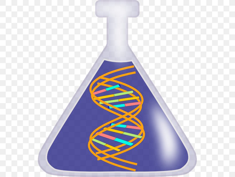 DNA Nucleic Acid Double Helix Free Content Vector Clip Art.