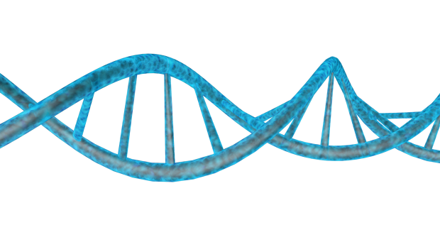 DNA PNG images free download.