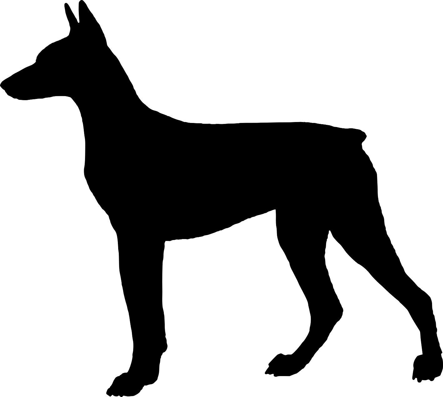 The best free Pinscher vector images. Download from 10 free.