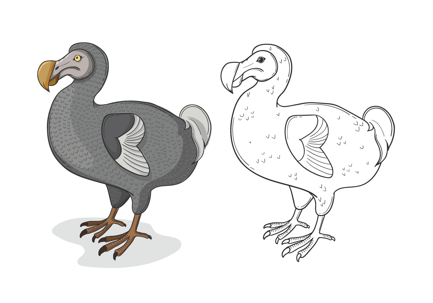 dodo bird clipart 20 free Cliparts | Download images on Clipground 2021