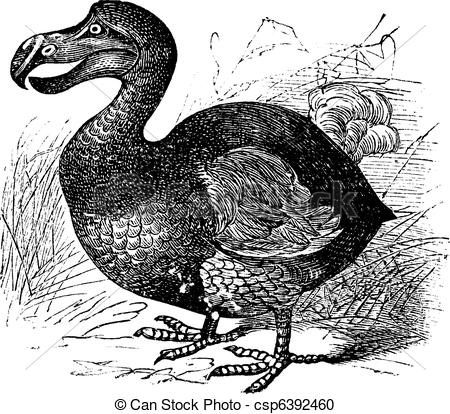 Dodo Stock Illustrations. 264 Dodo clip art images and royalty.