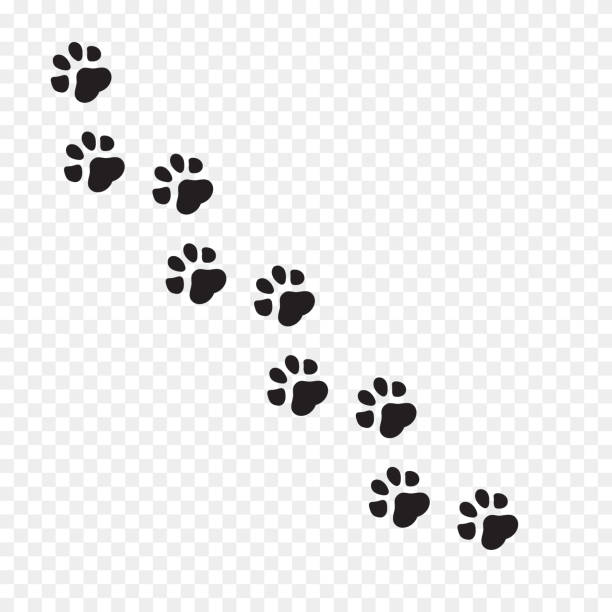 dog and cat clip art 20 free Cliparts | Download images on Clipground 2024