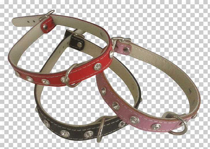 Belt Dog collar Strap, belt PNG clipart.