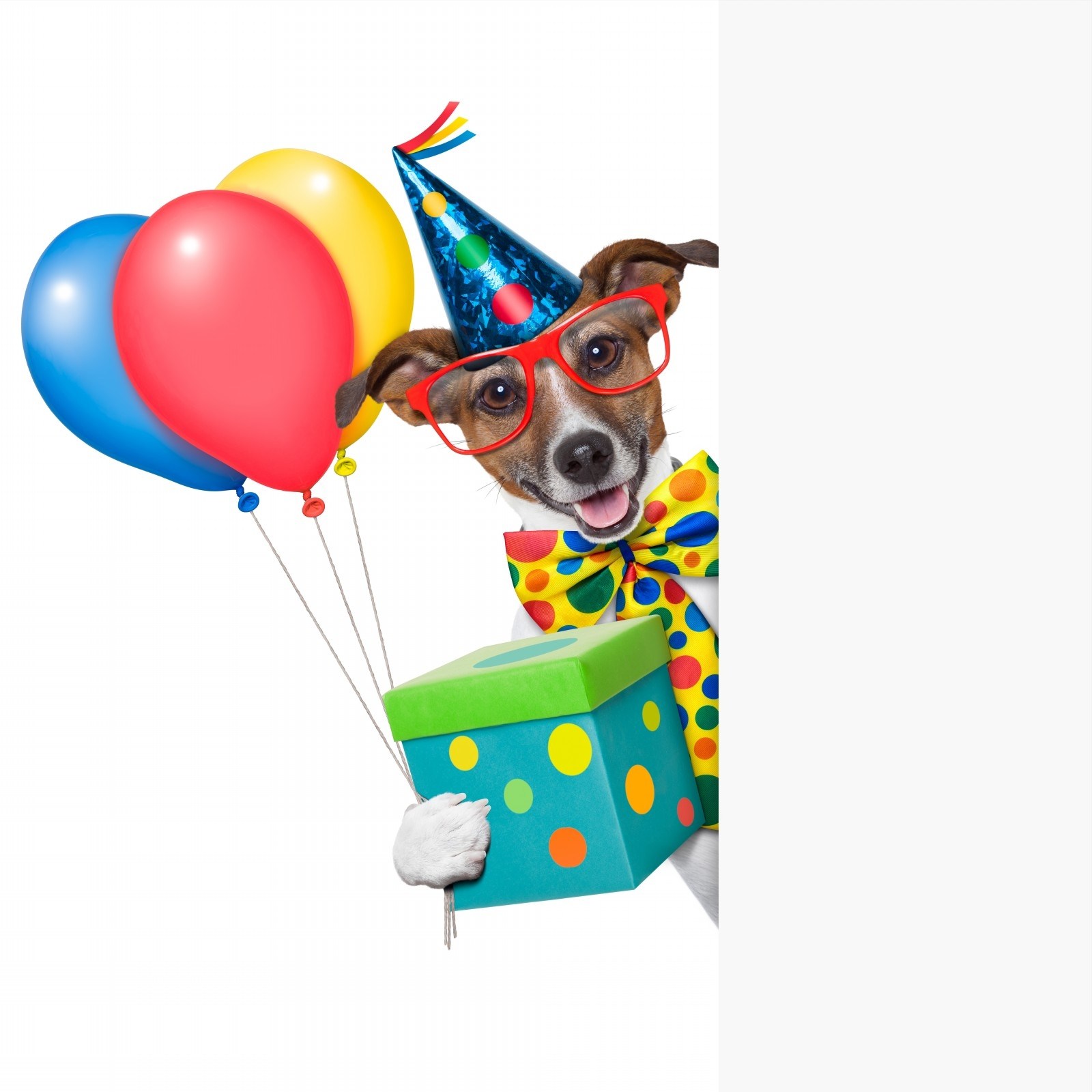 Dog birthday clipart 7 » Clipart Portal.