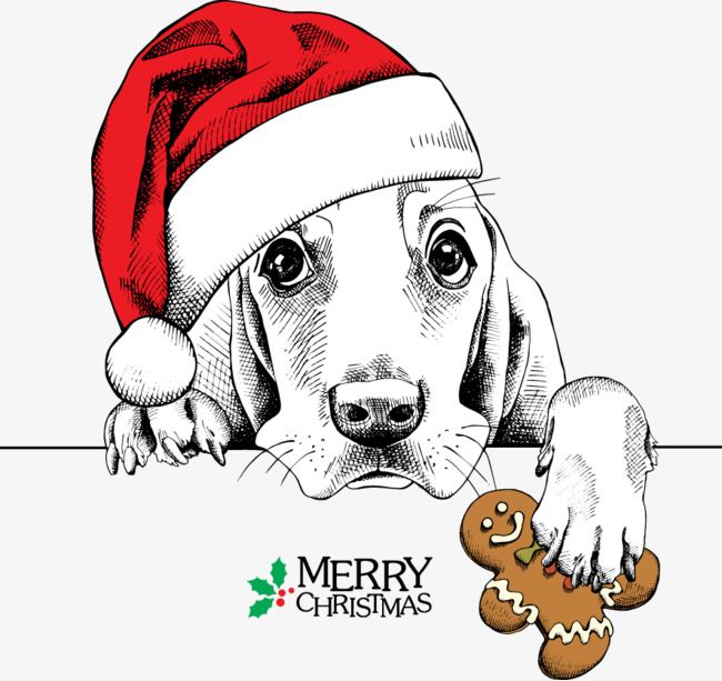 Meng Meng Dog Wearing Christmas Hats Red Dogs, Dog, Clipart.