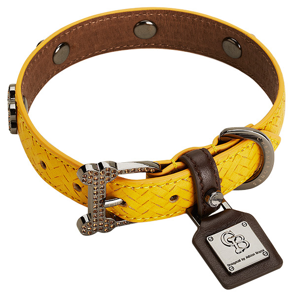 Collar,Dog collar,Yellow,Fashion accessory,Belt,Strap,Leash,Leather.