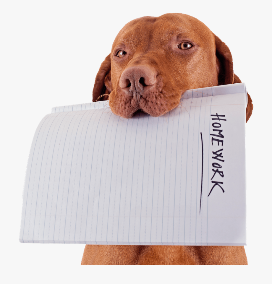 dog ate homework clip art