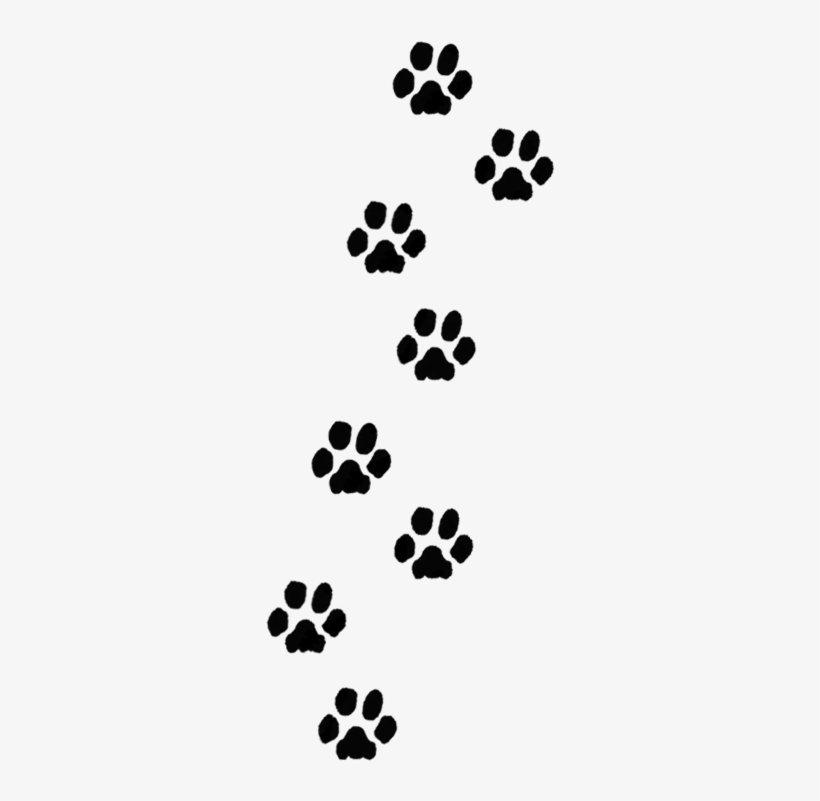 Dog Footprint Png 20 Free Cliparts Download Images On Clipground 2024