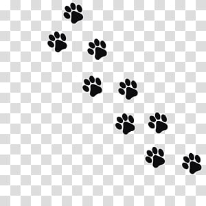 dog footprint png 20 free Cliparts | Download images on Clipground 2024