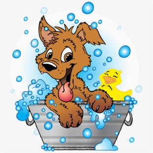 Dog Vector PNG Images.