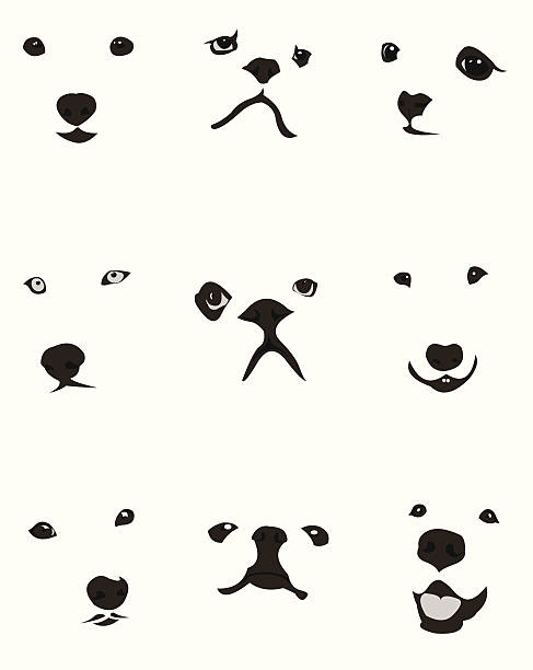 dog nose clipart 20 free Cliparts | Download images on Clipground 2024