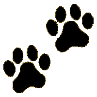 Dog paw print clip art free download.