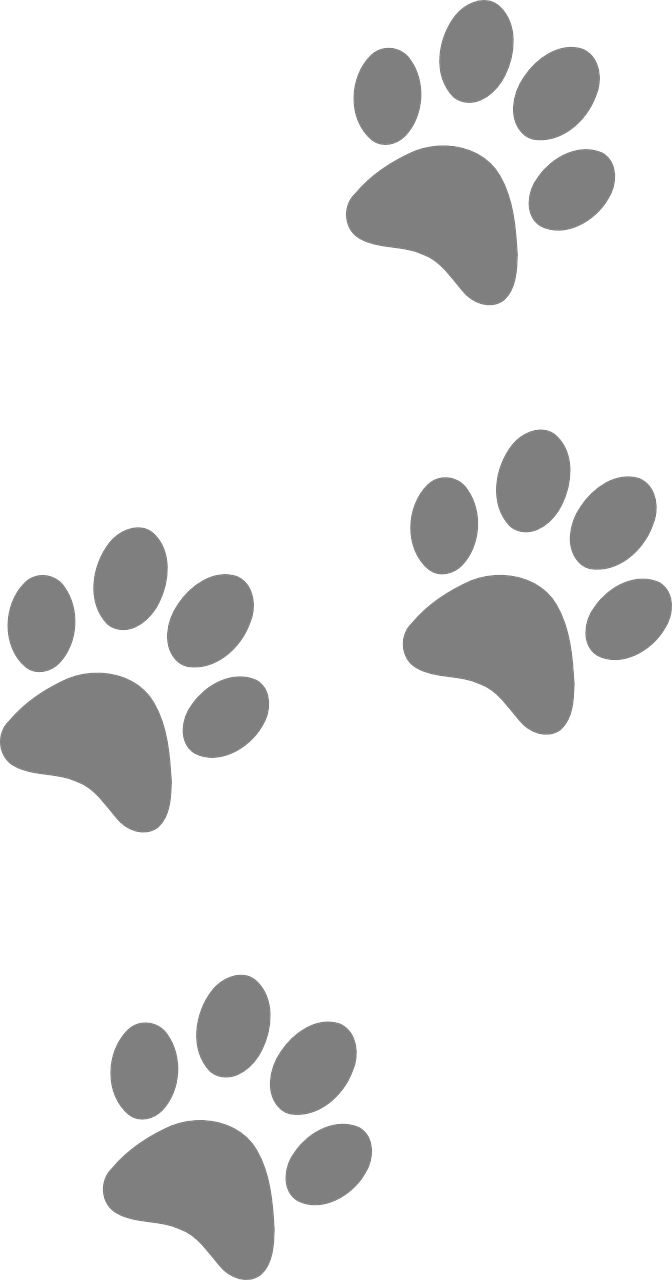 Footprints Animal Dog Paw Cat PNG.