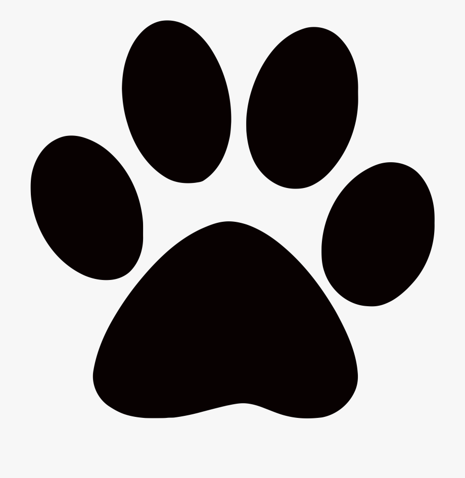 dogs paw print