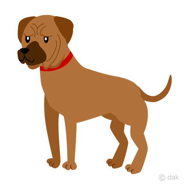 Free Tosa Dog Clipart Image｜Illustoon.
