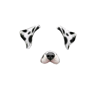 Snapchat Filter Dalmatian Dog transparent PNG.