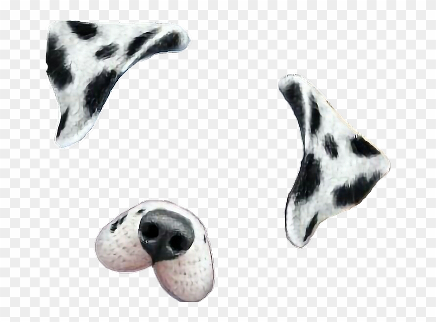 Snapchat Filters Clipart Dalmatian.