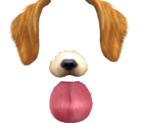 dog snapchat filter png 20 free Cliparts | Download images on ...