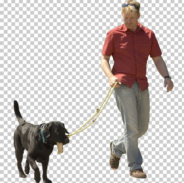 dog walking png 20 free Cliparts | Download images on Clipground 2023
