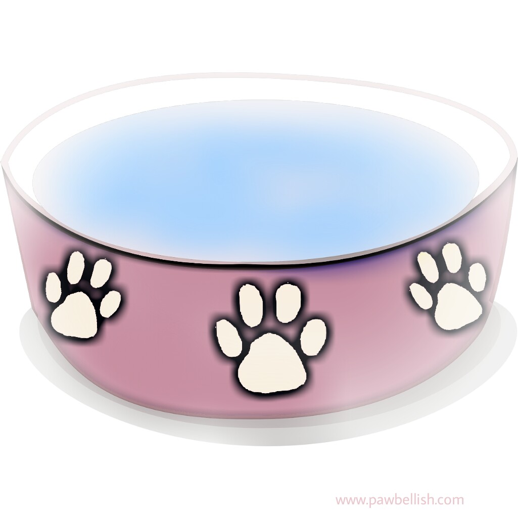 dog-water-bowl-clipart-10-free-cliparts-download-images-on-clipground