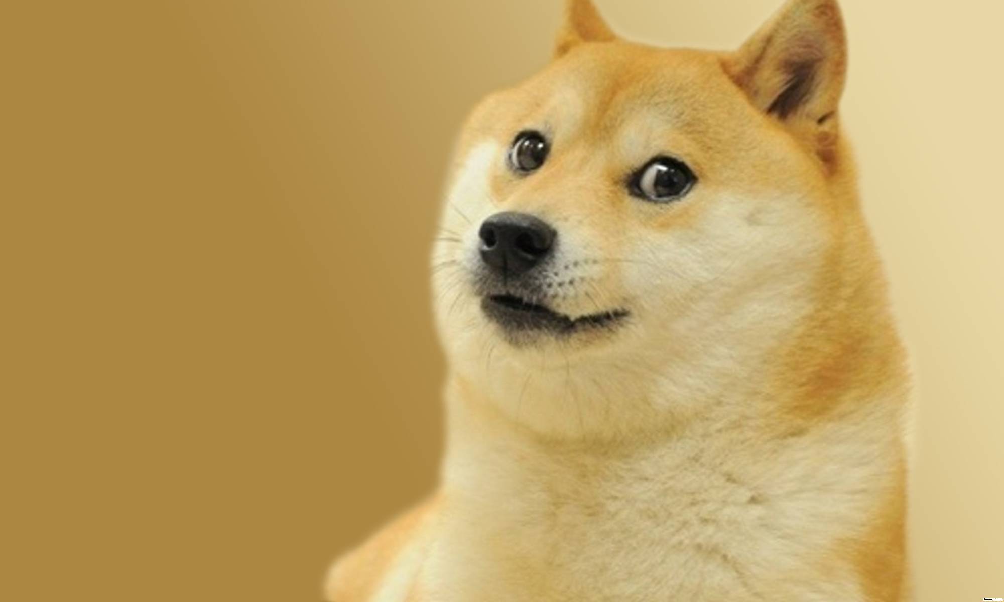 Doge clipart 1920x1080.