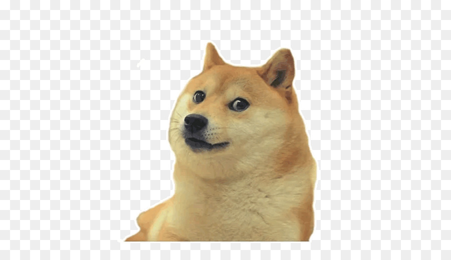 doge png 20 free Cliparts | Download images on Clipground 2024