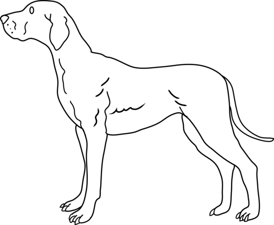 Dog black and white dog pictures free download clip art on.