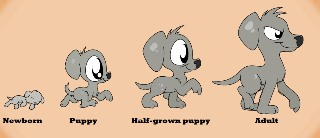 Dog life cycle clipart.