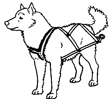 Dogsled clipart 20 free Cliparts | Download images on Clipground 2021