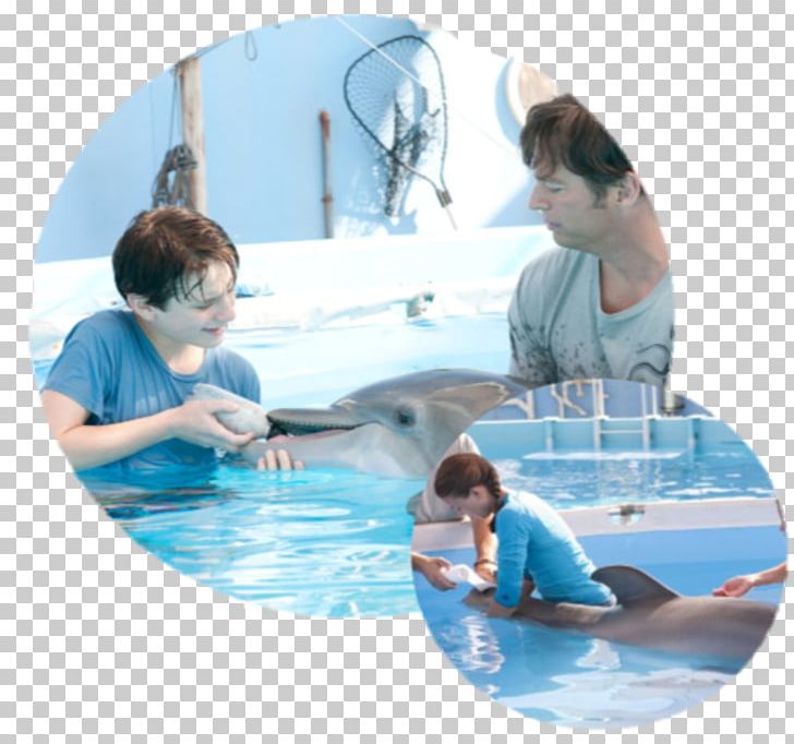 Clearwater Marine Aquarium Dr. Clay Haskett Film Dolphin Tale PNG.