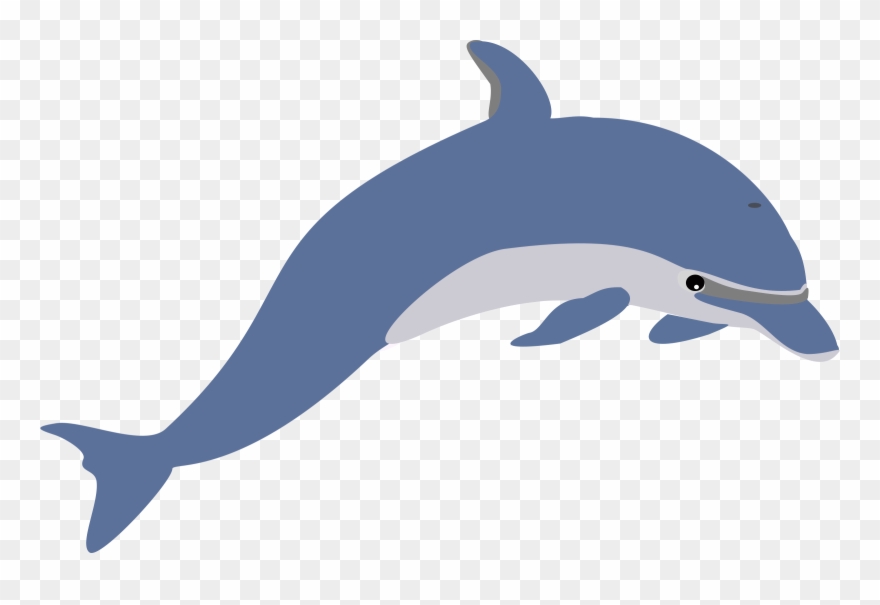 Dolphin Clipart.